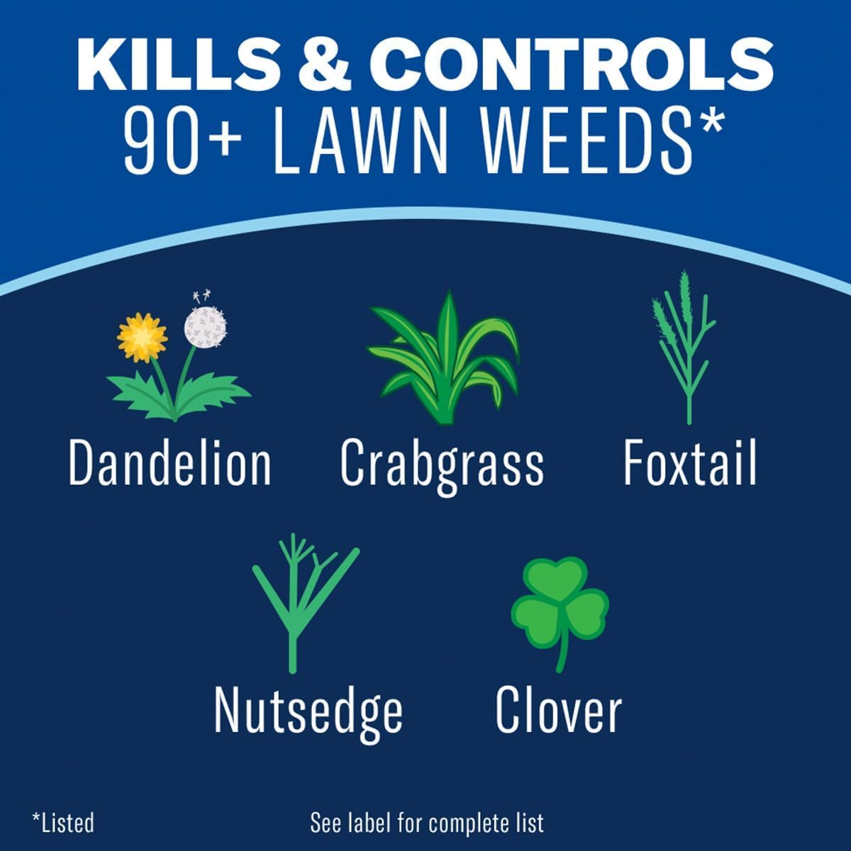 Lawn Weed & Crabgrass Killer Concentrate Y366336
