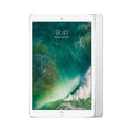 128GB Wi-Fi Silver 12.9in Tablet A6567