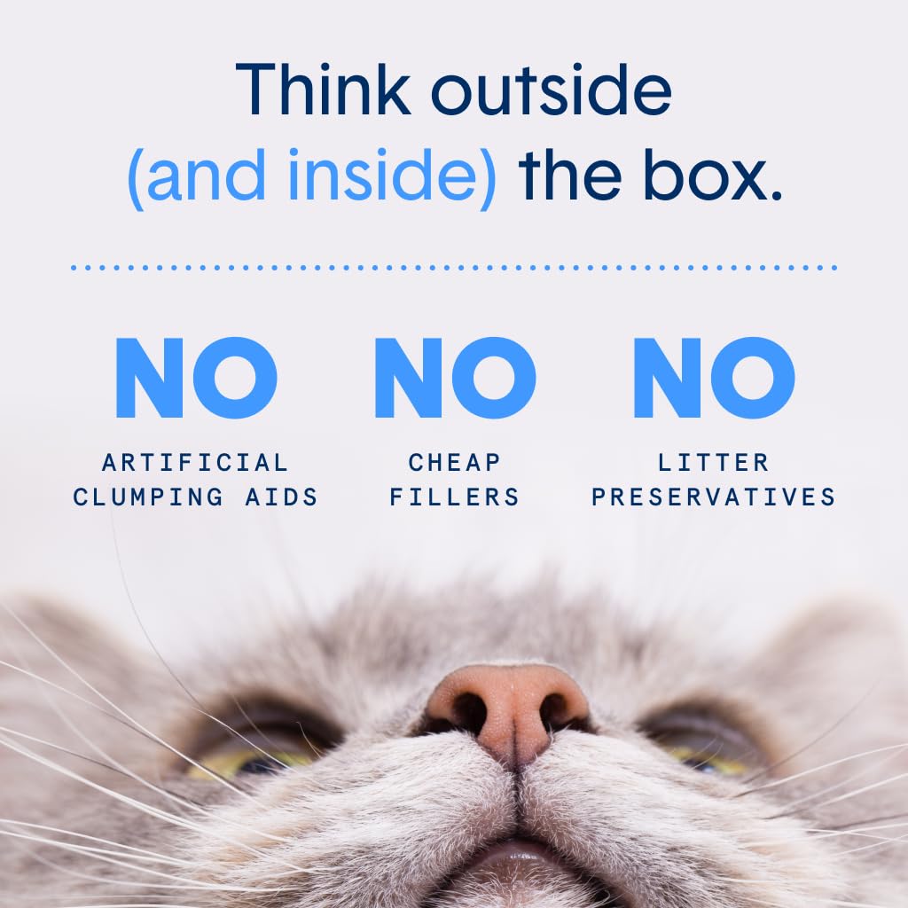 Probiotic Cat Litter, Non-Clumping, Crystal, 6lb C4293