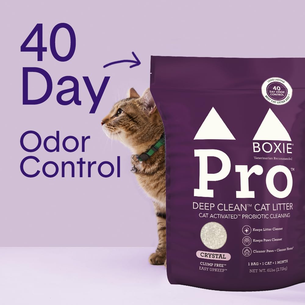 Probiotic Cat Litter, Non-Clumping, Crystal, 6lb C4293