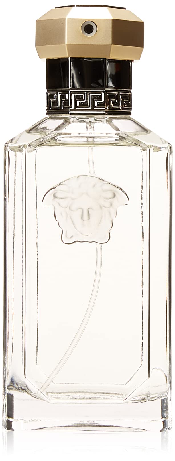 Eau De Toilette Spray 3.4 Ounces L245534