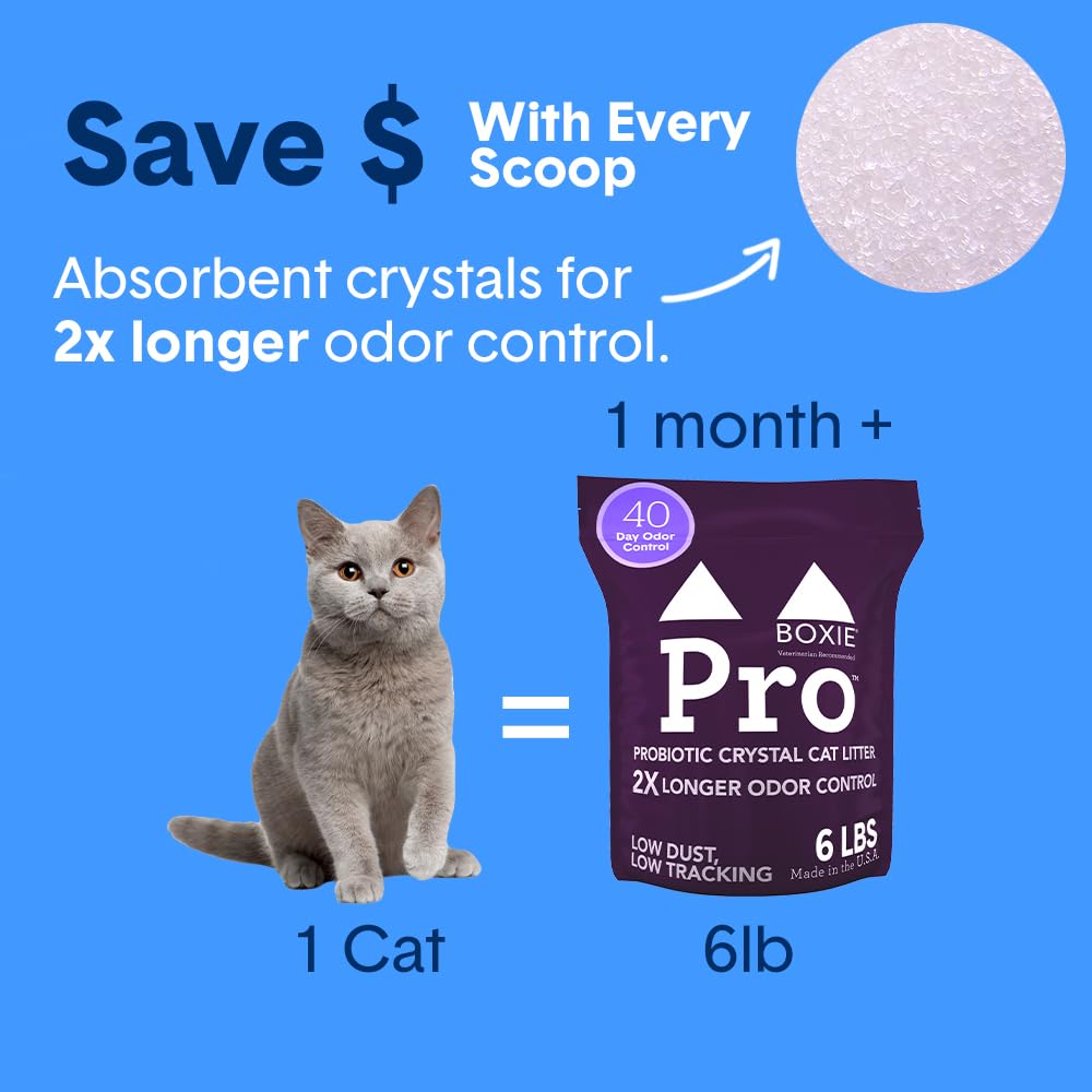 Probiotic Cat Litter, Non-Clumping, Crystal, 6lb C4293