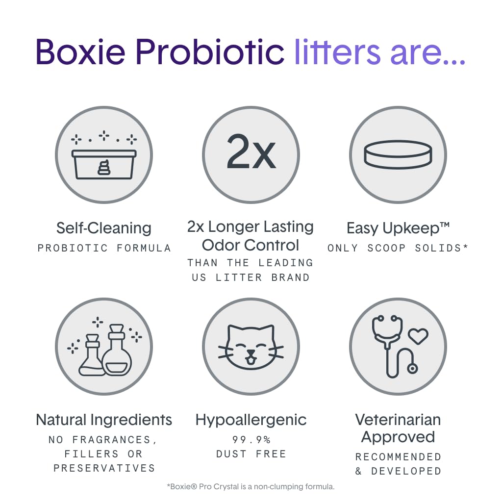 Probiotic Cat Litter, Non-Clumping, Crystal, 6lb C4293
