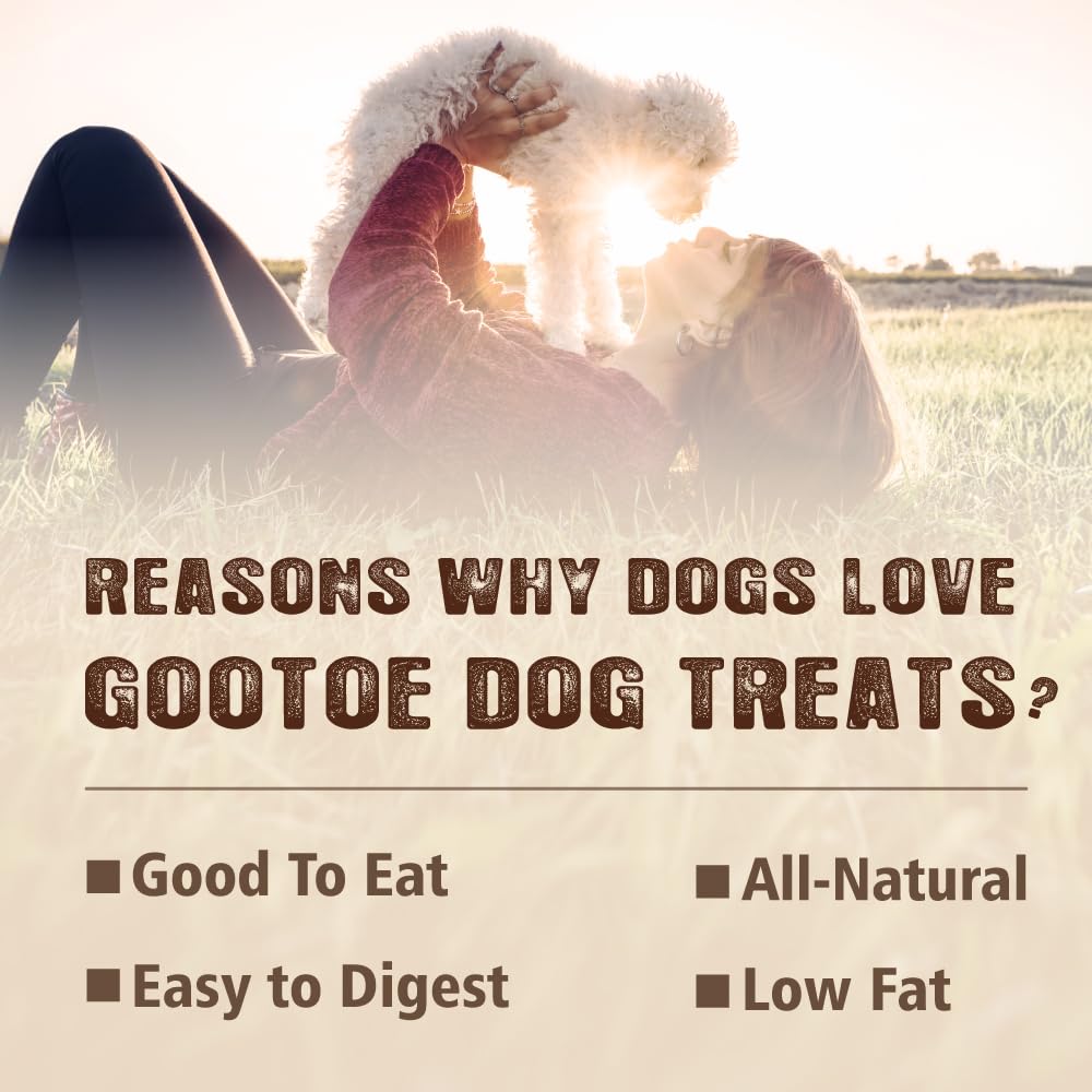 Soft Chicken Dog Treats 1.5 lb X48655