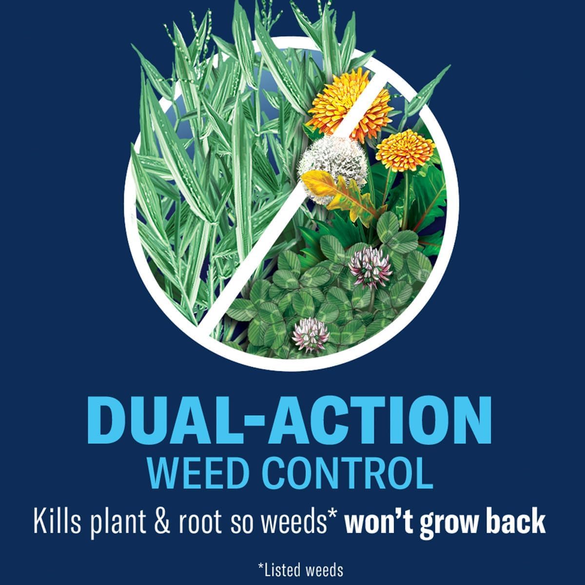 Lawn Weed & Crabgrass Killer Concentrate Y366336