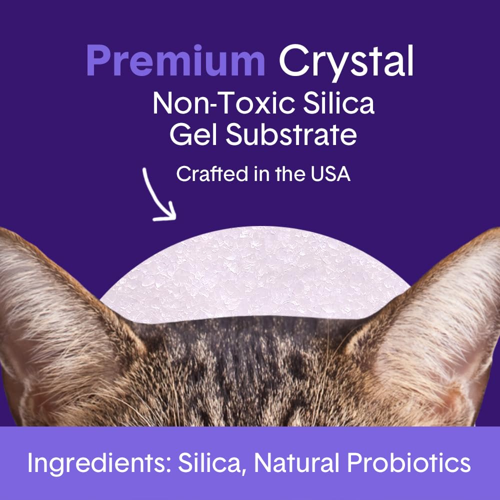 Probiotic Cat Litter, Non-Clumping, Crystal, 6lb C4293