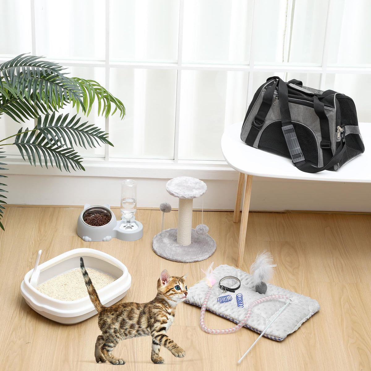 10 Pcs Kitten Starter Kit H245
