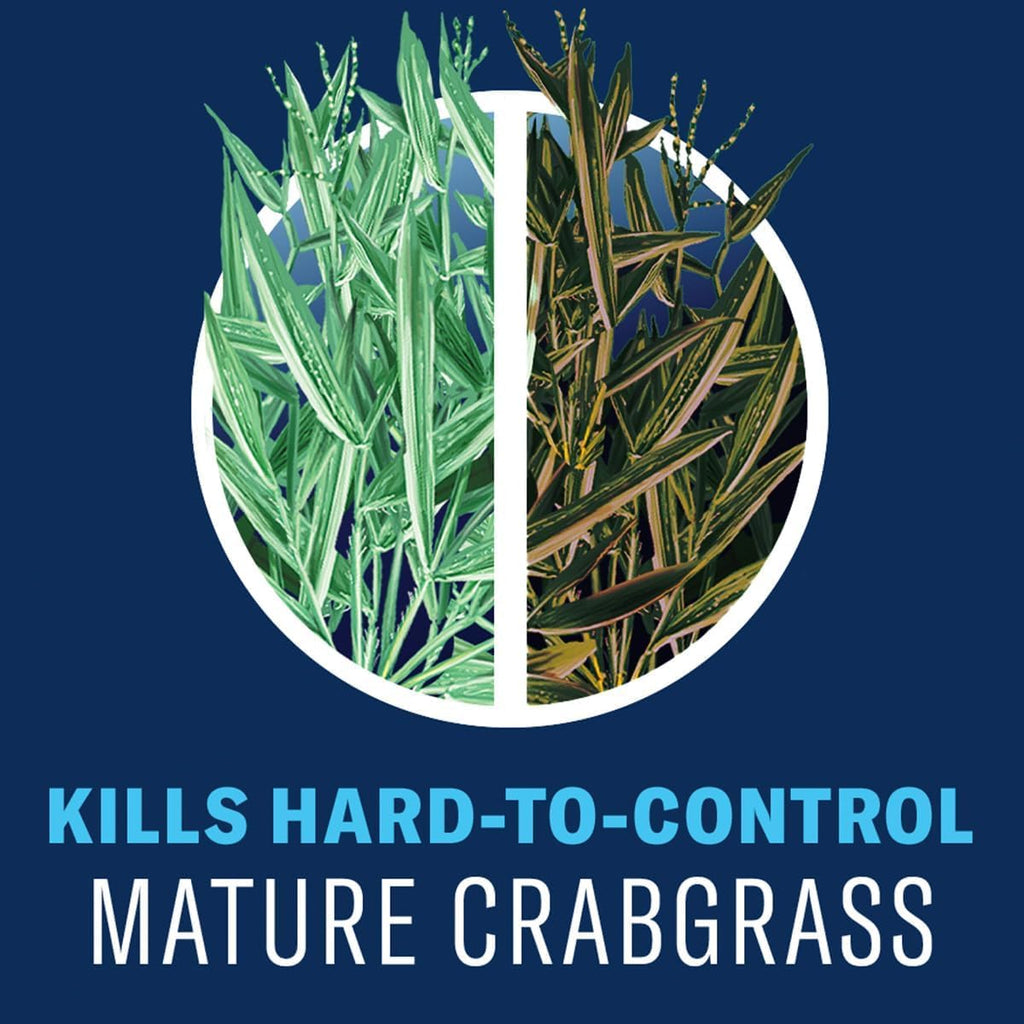 Lawn Weed & Crabgrass Killer Concentrate Y366336