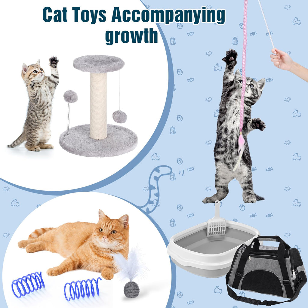10 Pcs Kitten Starter Kit H245