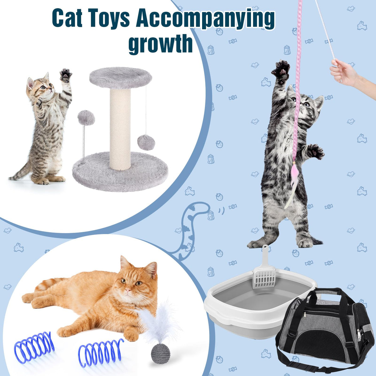 10 Pcs Kitten Starter Kit H245