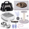 10 Pcs Kitten Starter Kit H245