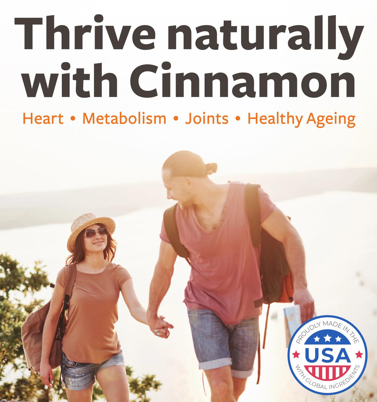 USDA Organic Ceylon Cinnamon 1000mg Vegan Non-GMO Supplement D399473
