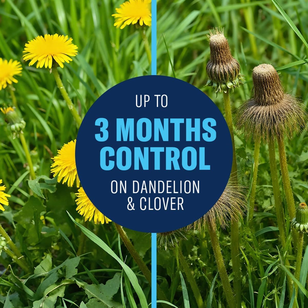 Lawn Weed & Crabgrass Killer Concentrate Y366336