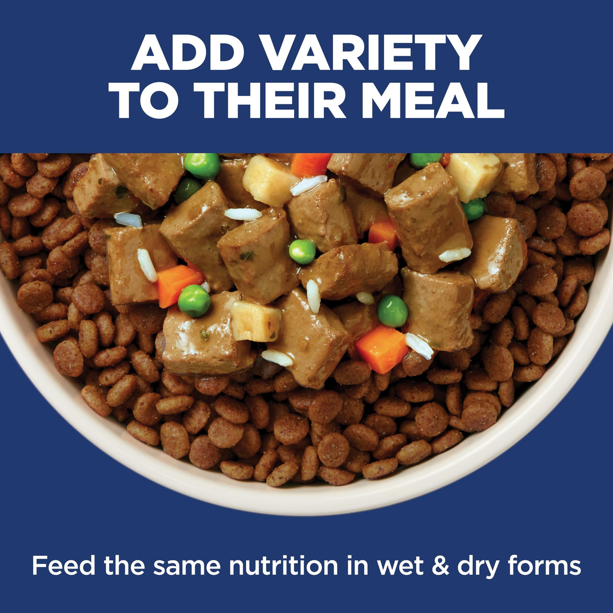 Sensitive Stomach & Skin Small & Mini Dry Dog Food J546603