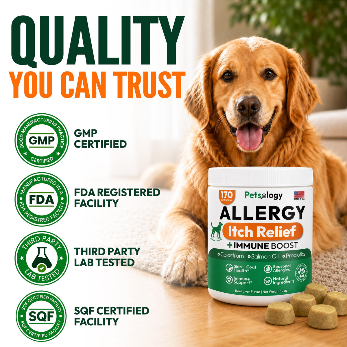 Dog Allergy Relief Chews 170 Count R269168