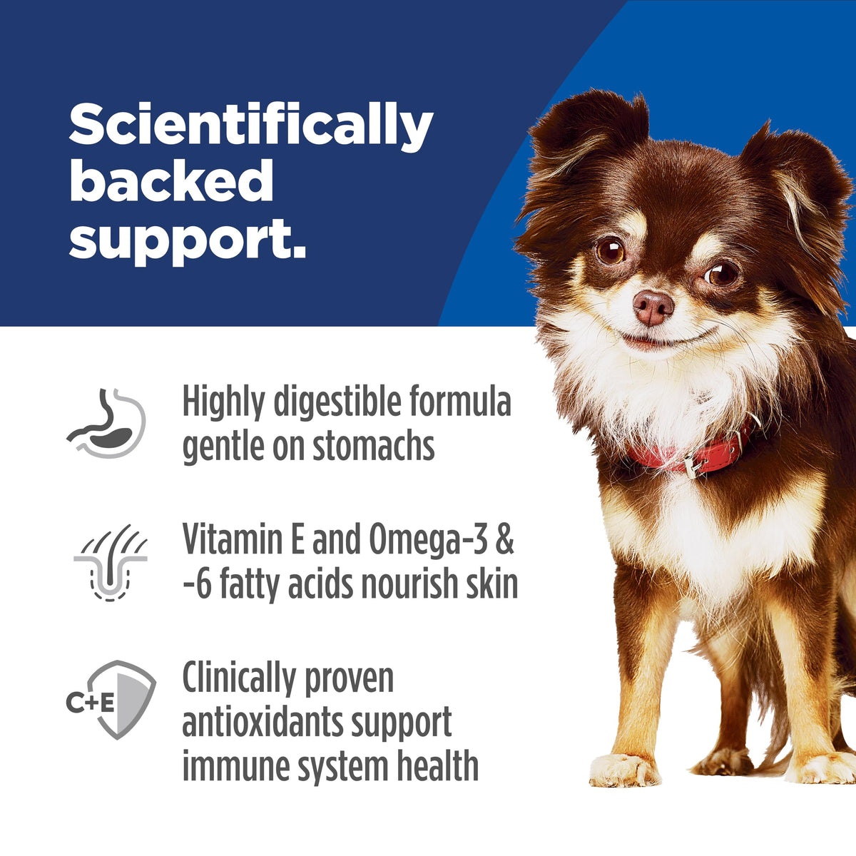 Sensitive Stomach & Skin Small & Mini Dry Dog Food J546603