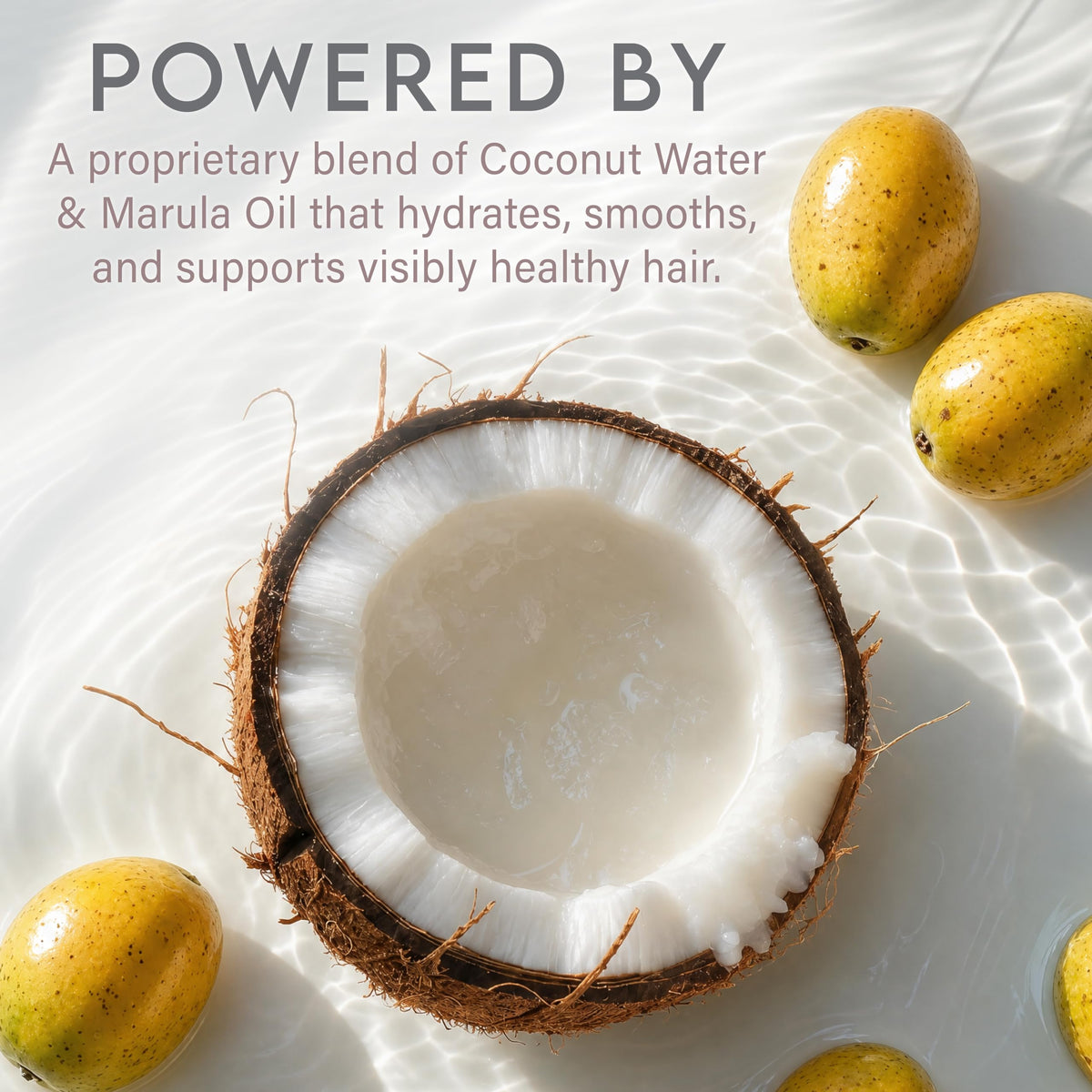 Coconut Water Curly Hair Clarifying Shampoo and Conditioner H55537