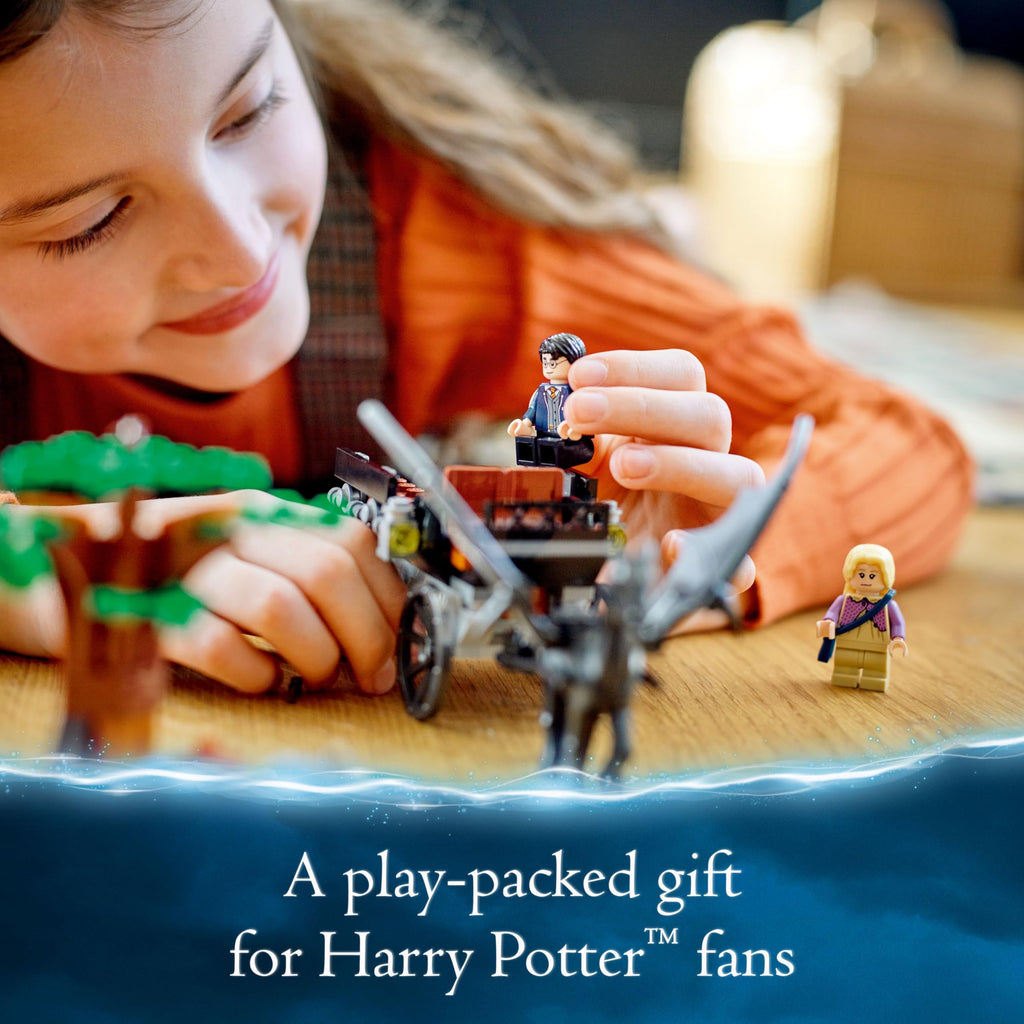 Harry Potter Hogwarts Carriage D12098