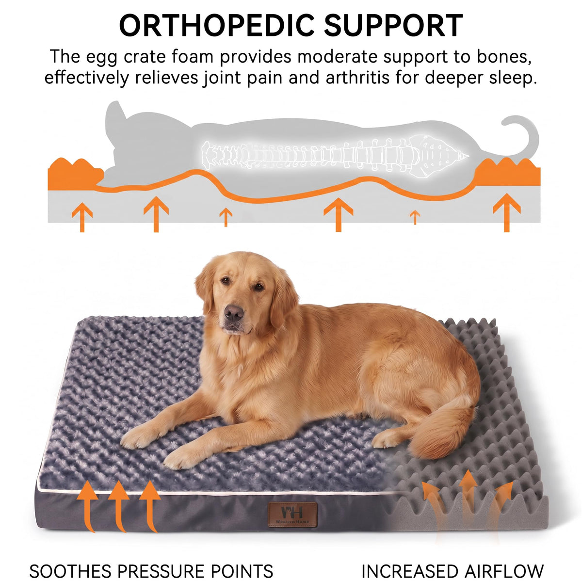 XXL Washable Dog Bed G58783