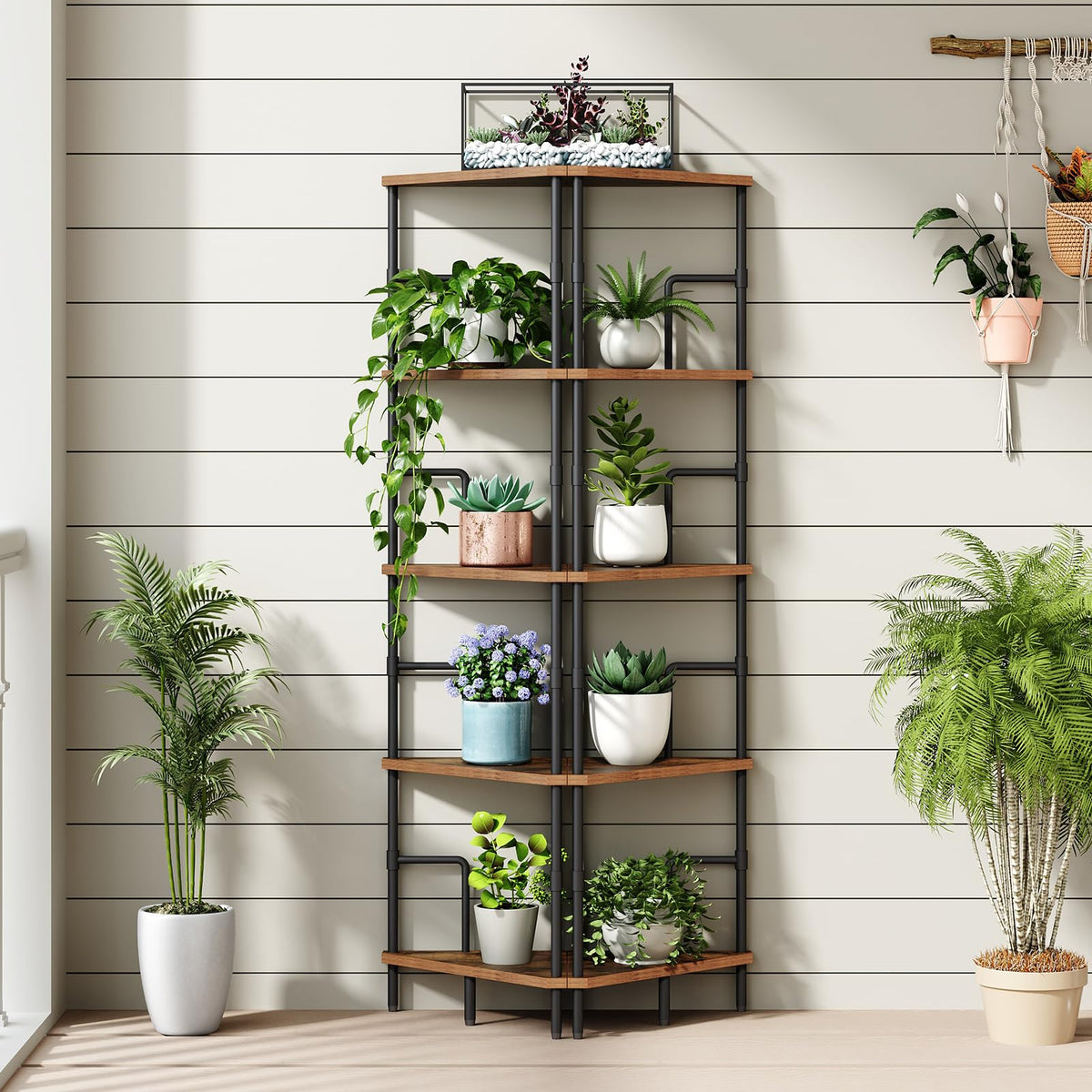 5-Tier Tall Corner Bookshelf with Metal Frame S5732