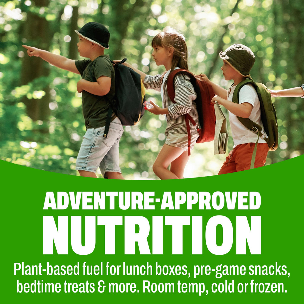 Organic Vegan Kids Protein Shakes Chocolate 8 Fl Oz 12 Pack W207803