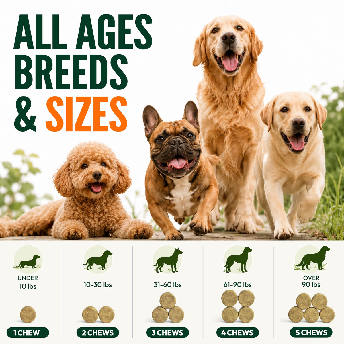 Dog Allergy Relief Chews 170 Count R269168