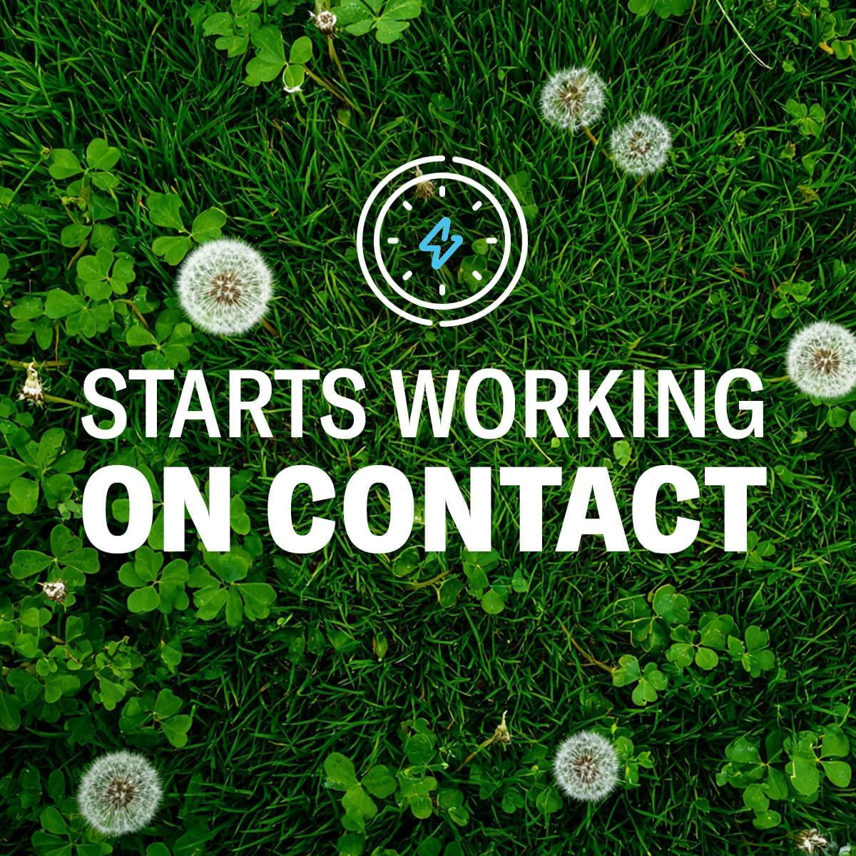 Lawn Weed & Crabgrass Killer Concentrate Y366336
