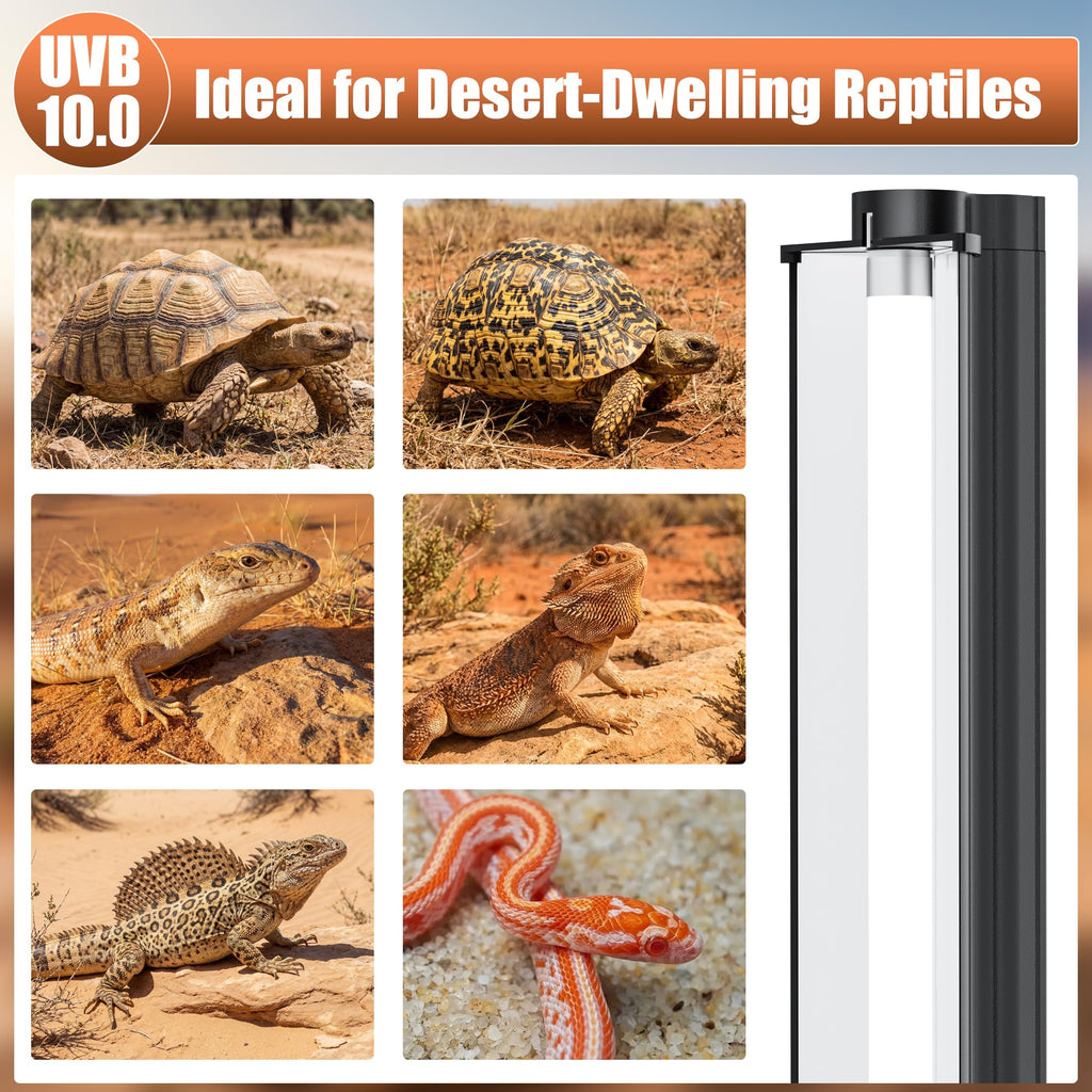 UVB 10.0 Reptile Light Fixture Combo Kit 12Inch D160600