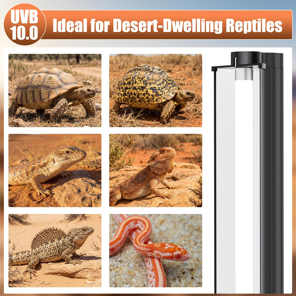 UVB 10.0 Reptile Light Fixture Combo Kit 12Inch D160600
