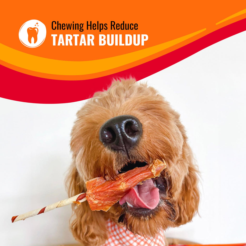 Dog Treat 3 Count H309